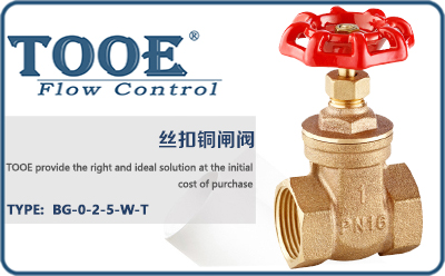 �z���~�l�y