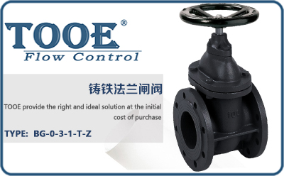 �T�F���m�l�y