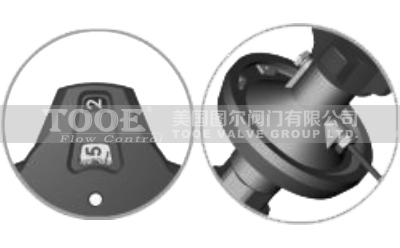 �ӑB(t��i)������������c