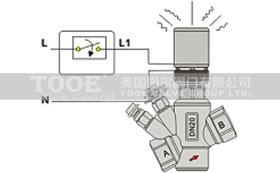 �����o�P�ӑB(t��i)늄�ƽ���yԭ��