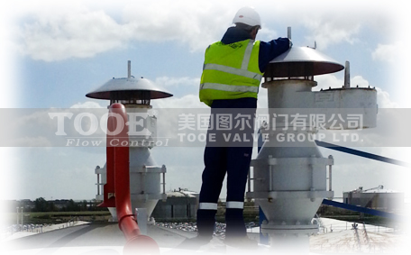 �M(j��n)�ں����y