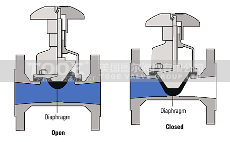 �M(j��n)�ڸ�Ĥ�y