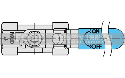 һƬʽ���P����y�Y(ji��)��(g��u)