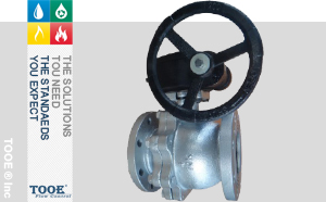 �M���T�F���m���y