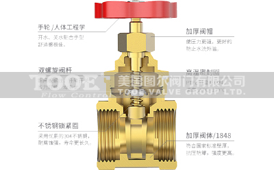 �~�l�y���g(sh��)����(sh��)