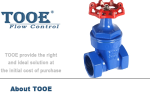 �T�F�z���l�y