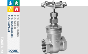 �M�ڲ��P��ݼy�z���l�y