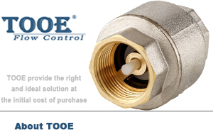 ��ʽ�z���~ֹ���y