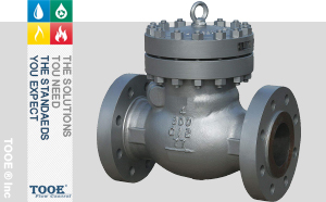 �M�ڸߜظ߉�����ʽ�վֹ���y