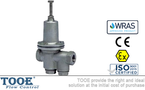 ���ɱ�Ĥ���{ʽ�p���y���g����(sh��)