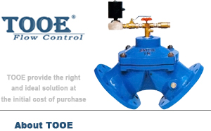 ���͸�Ĥ�����y