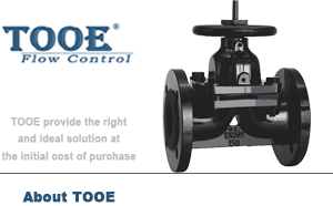 ȫ�r�z��Ĥ�y