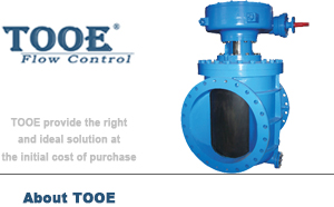 ܛ�ܷ�ƫ�������y