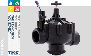 �M�ڹ����ͨ늴ſ����y